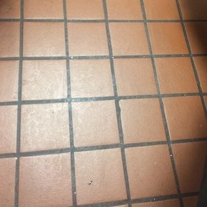 Meet your Posher, Zack