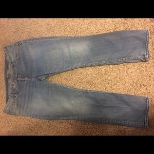 Silver Jeans Tuesday, Plus Size Women's 24/33