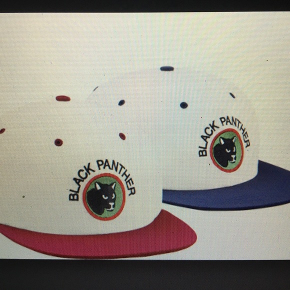 ISO: supreme Panther hat!