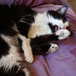 Meet your Posher, Alexandra