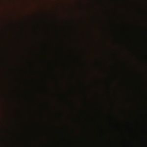 Meet your Posher, Lorena