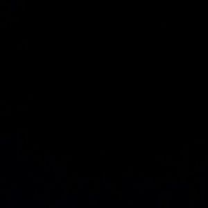 Meet your Posher, Ty