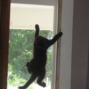 Meet your Posher, Janice