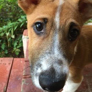 Meet your Posher, Norma