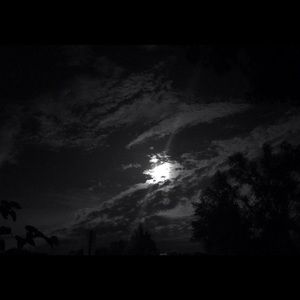 Meet your Posher, Diamond