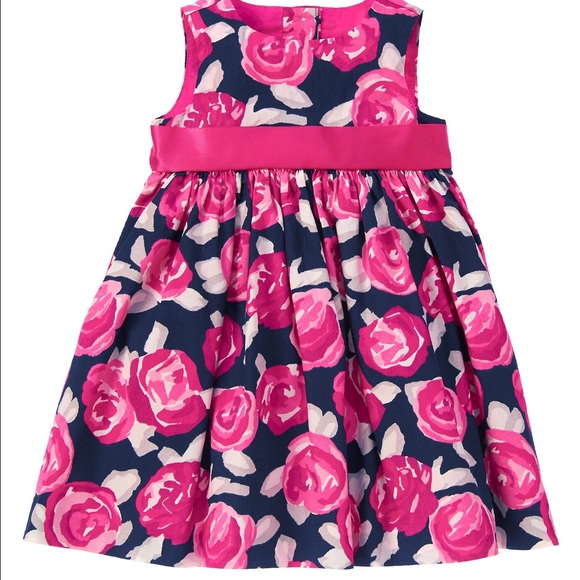 Gymboree Toddler Girl dress