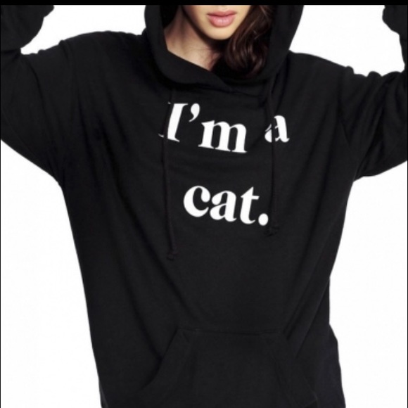 I'm a cat hoodie
