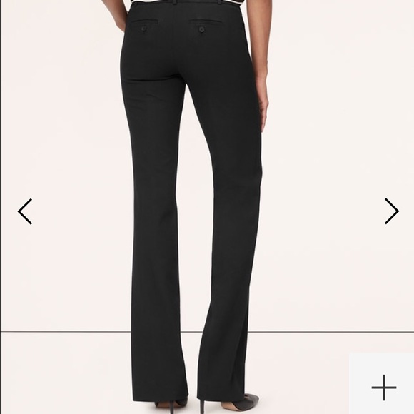 Ann Taylor Loft Julie Trouser