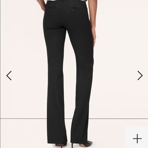 Ann Taylor Loft Julie Trouser