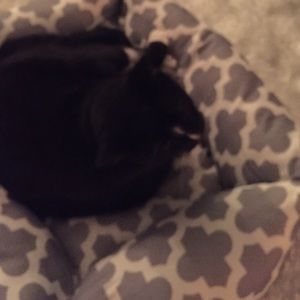 Meet your Posher, Jason