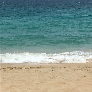 Meet your Posher, Sandy