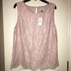On Sale! Beautiful loft lace tank top with tags!