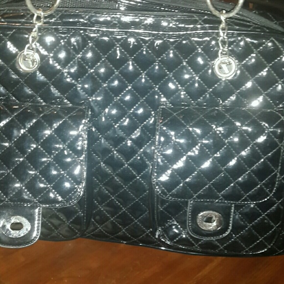 A beautiful dog carrying purse