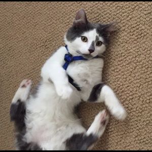 Meet your Posher, Sally