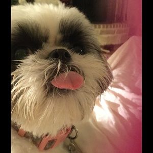 Meet your Posher, Paula