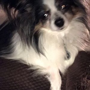 Meet your Posher, Ramsey