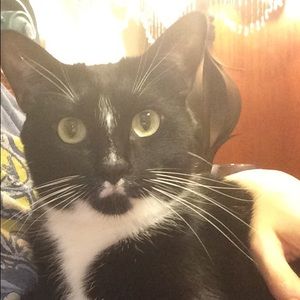 Meet your Posher, Hope