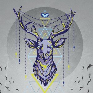 Meet your Posher, Jude