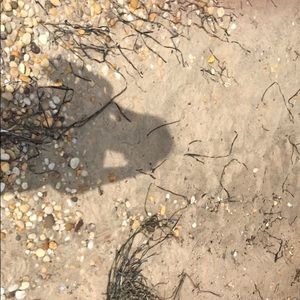 Meet your Posher, Julia