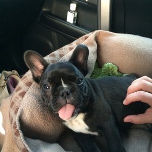 Meet your Posher, Leslie