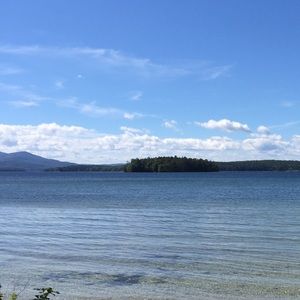 Meet your Posher, Shelby