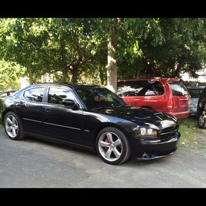 Meet your Posher, Ernesto