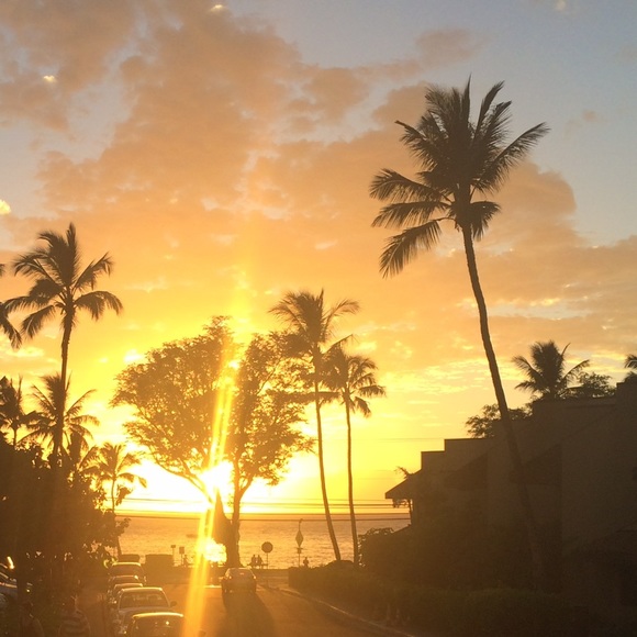 Meet your Posher, Carissa - Picture 6 of 9