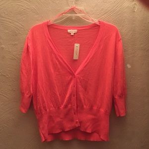 NWT Ambiance button up lightweight sweater