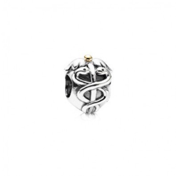 Pandora Life Saver Charm