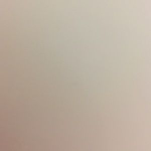 Meet your Posher, Eva