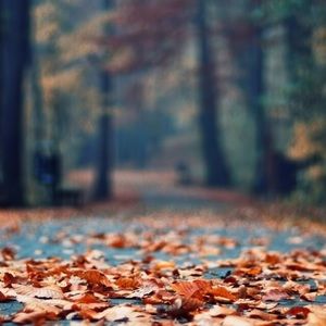 Meet your Posher, Bella