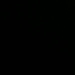 Meet your Posher, Reecie