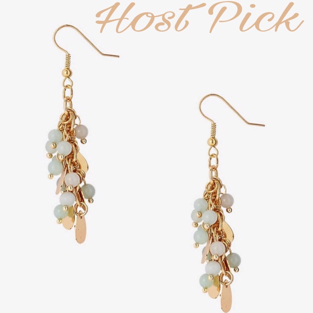 💝HP 3-17-17💝Beaded Cluster Earrings 💝
