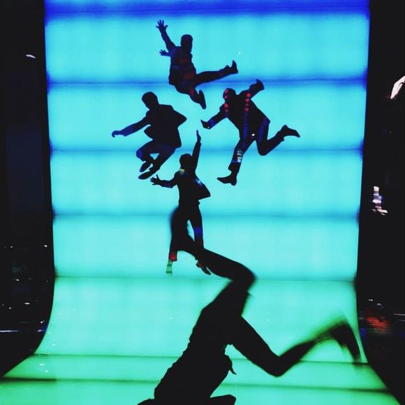 Meet your Posher, Reuben - Picture 1 of 1