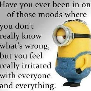 Meet your Posher, Christy