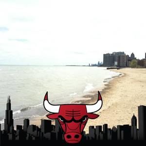 Meet your Posher, Shaun