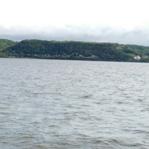 Meet your Posher, Calvin