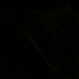 Meet your Posher, Wilma