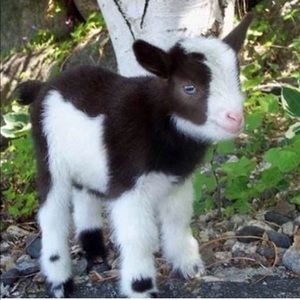 Meet your Posher, Katrina