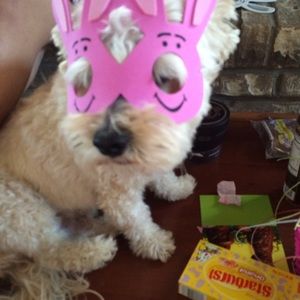 Meet your Posher, Mary