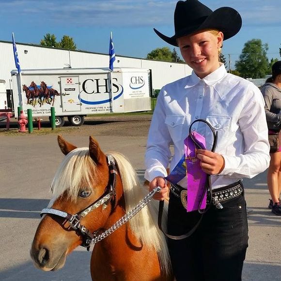 Meet your Posher, Scout - Picture 1 of 1