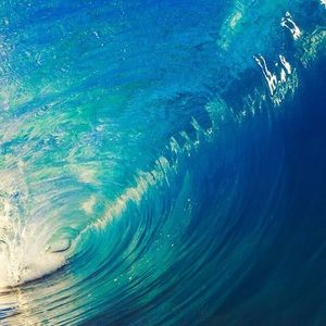 Meet your Posher, Serena