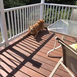 Meet your Posher, Shelly