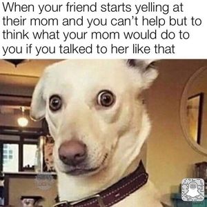 Meet your Posher, Ariel