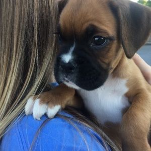 Meet your Posher, Sydney