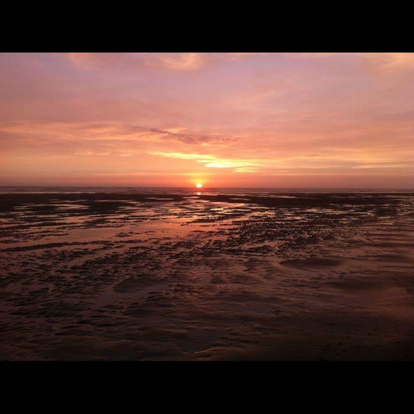 Meet your Posher, Rhea - Picture 2 of 2