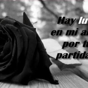 Meet your Posher, Gladys