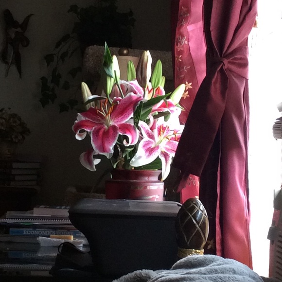 Bundle Montego, Kenneth Cole, lulu Townsend clutch