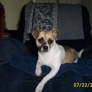 Meet your Posher, Barbara