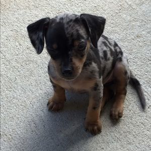 Meet your Posher, Wendy